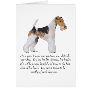 Draad Fox Terrier Herinnering / Widmung MANNETJE