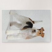 Draad Fox Terrier Hond Foto Legpuzzel (Horizontaal)