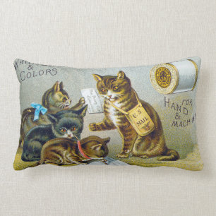 Draad Handelskaart, 1880 Kussen