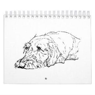 Draadharige Dachshund 2027 Kalender