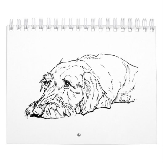Draadharige Dachshund 2027 Kalender (Hoes)