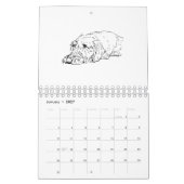 Draadharige Dachshund 2027 Kalender (Jan 2027)