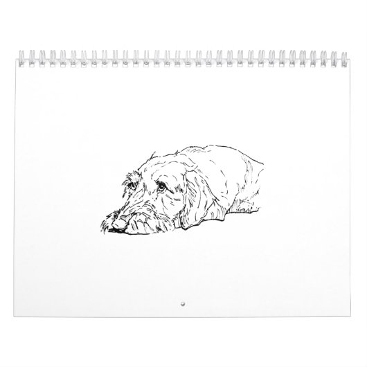 Draadharige Dachshund 2027 Kalender (Hoes)