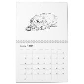 Draadharige Dachshund 2027 Kalender (Jan 2027)