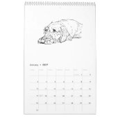 Draadharige Dachshund 2027 Kalender (Jan 2027)
