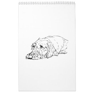 Draadharige Dachshund 2027 Kalender