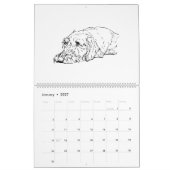 Draadharige Dachshund 2027 Kalender (Jan 2027)