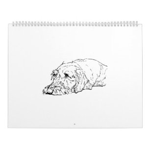 Draadharige Dachshund 2027 Kalender