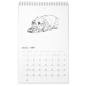 Draadharige Dachshund 2027 Kalender (Jan 2027)