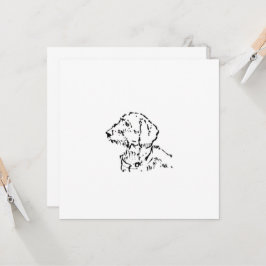 Draadharige Dachshund-hondeneigenaar