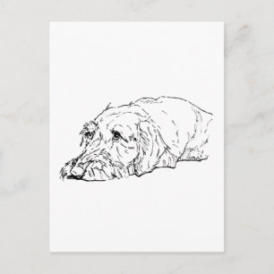 Draadharige Dachshund Kunst - Schattig Briefkaart