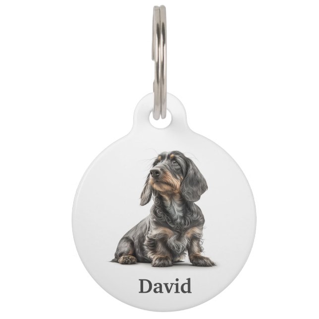 Draadharige Dachshund Personaliseren Huisdierpenning (Voorkant)