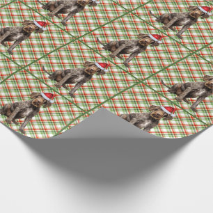 Draadharige Pointerhond Kerstmis Plaid Cadeaupapier