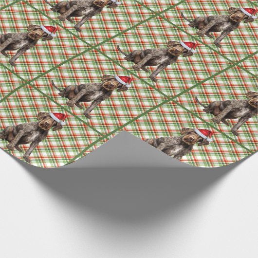 Draadharige Pointerhond Kerstmis Plaid Cadeaupapier (Hoek)