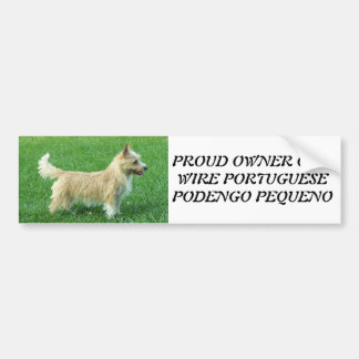 Draadharige Portugese Podengo Pequeno Bumpersticker