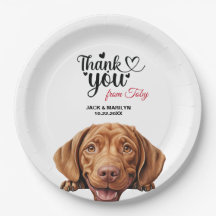 Draadharige Vizla