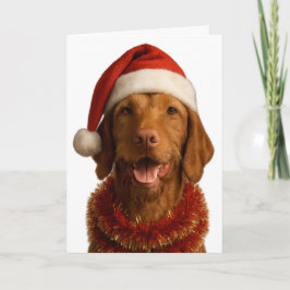 Draadharige Vizsla in een kerstmuts kerstkaart Kaart