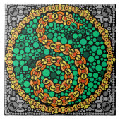 Draadloze python, kleurwaarneming testen, zwart tegeltje (Voorkant)