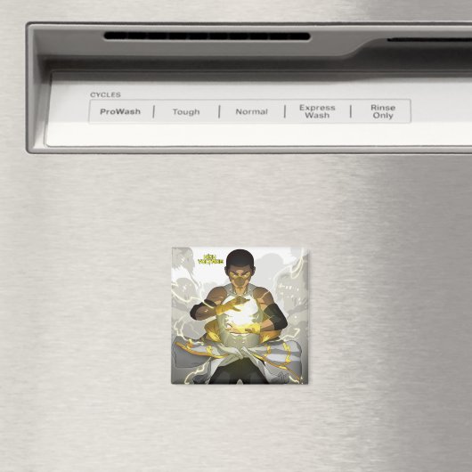 draadmagneet magneet (Insitu (Vaatwasser))