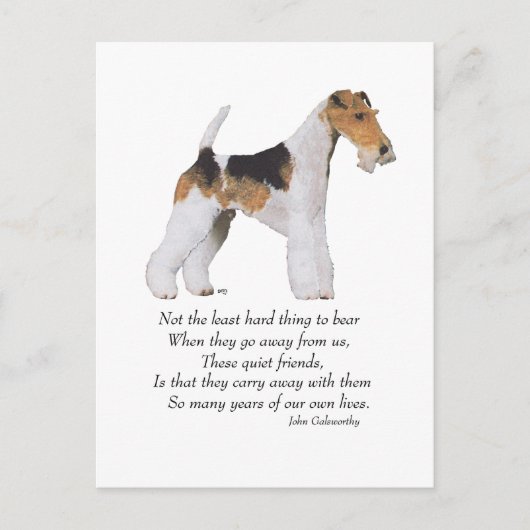 Draadvos Terrier Regenboogbrug Briefkaart (Voorkant)