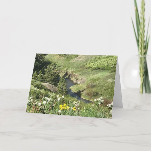 Draag de Bergen van de Poot, Havre, MT Kaart (Voorkant)