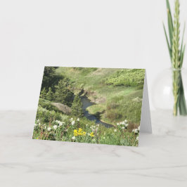 Draag de Bergen van de Poot, Havre, MT Kaart