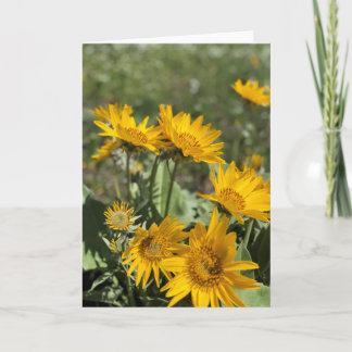 Draag de Bergen van de Poot Kaart