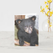 Draag de Kaart van de Nota van de Welp (Gele Bloem)