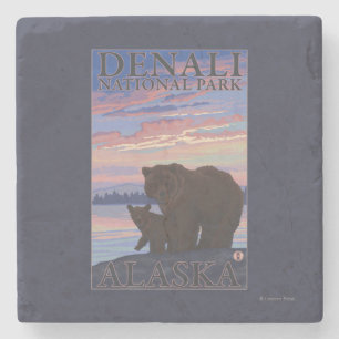 Draag en werp - Denali Nationaal Park, Alaska Stenen Onderzetter