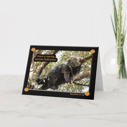 Draag katten & de Kaart van Binturong Halloween (Voorkant)