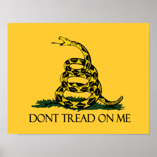 Draag me niet op Gadsden Flag Historische Militair Poster