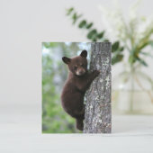 Draag Welp die een Boom beklimmen Briefkaart (Staand voorkant)