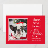 Draagbare Pet EDITABLE COLOR-kerstfeestkaart Feestdagenkaart (Voorkant / Achterkant)