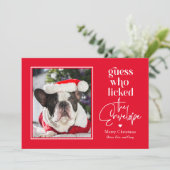 Draagbare Pet EDITABLE COLOR-kerstfeestkaart Feestdagenkaart (Staand voorkant)