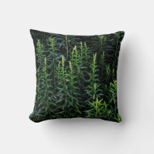 Draagbare Planten Donkere stemming