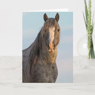 "Draagkracht van de Natuur" Kaart