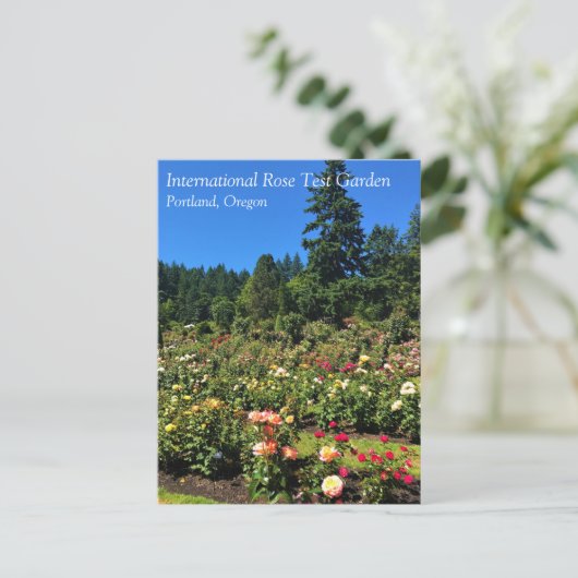 Draagland Roos Garden, OF Briefkaart (Staand voorkant)