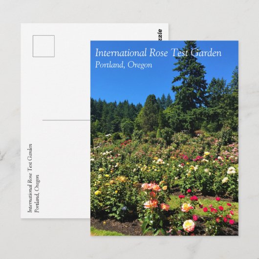 Draagland Roos Garden, OF Briefkaart (Voorkant / Achterkant)