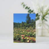 Draagland Roos Garden, OF Briefkaart (Staand voorkant)