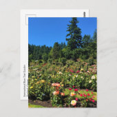 Draagland Roos Garden, OF Briefkaart (Voorkant / Achterkant)