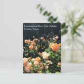 Draagland Roos Garden, OF Briefkaart (Staand voorkant)