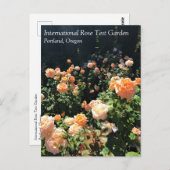 Draagland Roos Garden, OF Briefkaart (Voorkant / Achterkant)