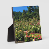 Draagland Roos Garden, OF Fotoplaat (Voorkant)