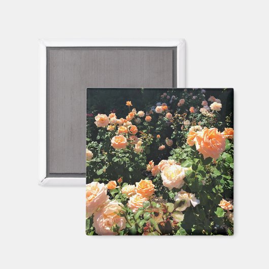 Draagland Roos Garden, OF Magneet (Voorkant / Achterkant)