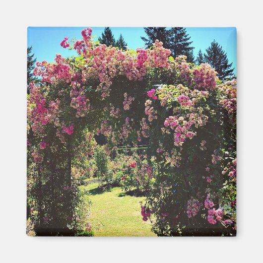 Draagland Roos Garden, OF Magneet (Voorkant)