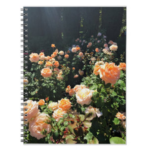 Draagland Roos Garden, OF Notitieboek