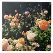 Draagland Roos Garden, OF Tegeltje (Voorkant)