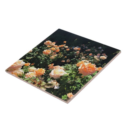 Draagland Roos Garden, OF Tegeltje (Zijkant)