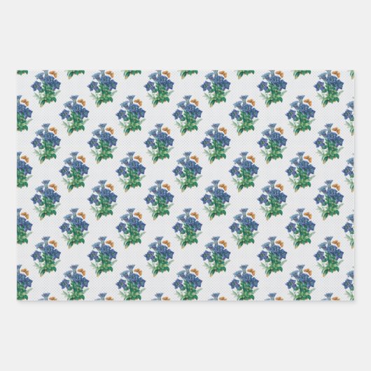 Draagpapier voor tuinbouwblauw, vellen 3 (Voorkant 2)