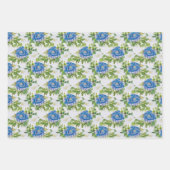 Draagpapier voor tuinbouwblauw, vellen 3 (Voorkant)